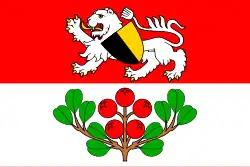 Bandeira de Rynoltice