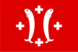 Bandeira de Salm-Salm