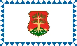 Bandeira de Somoskőújfalu