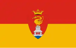 Bandeira de Sorkikápolna