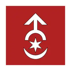 Bandeira de Starokostiantyniv