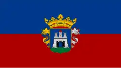 Bandeira de Székesfehérvár