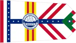 Bandeira de Tampa