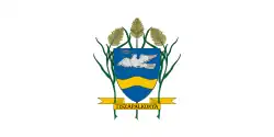 Bandeira de Tiszapalkonya