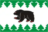 Bandeira de Turinsk