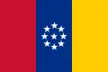 Bandeira dos Estados Unidos da Nova Granada, usada entre 26 de julho de 1861 e 26 de novembro de 1861.