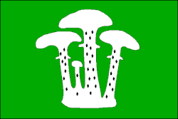 Bandeira de Václavy