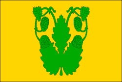 Bandeira de Velká Chmelištná