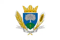 Bandeira de Viszló