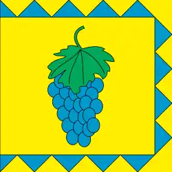 Bandeira de Vynnyky