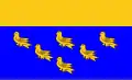 Bandeira de West Sussex