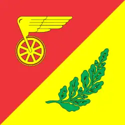 Bandeira de Znamianka