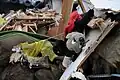 Boneco de pelúcia em meio aos destroços gerados pelo tsunami em Ofunato