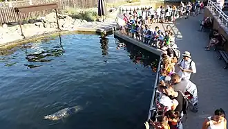 Parque marinho de Hel