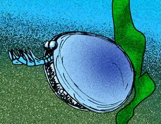 Forfexicaris, um artrópode.