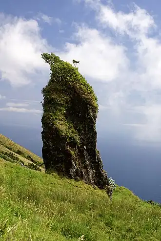 Formação monolítica de basalto misturado com escória vulcânica nas imediações do Pico Pinheiro