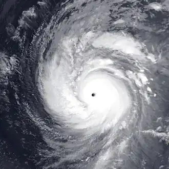 imagem ilustrativa de artigo Tufão Francisco (2013)