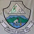 Brasão de armas de Francisco Badaró