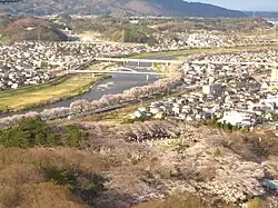 Horizonte de Shibata