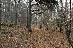 A reserva natural de Gökstenen