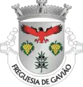 Brasão de armas de Gavião