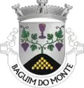 Brasão de armas de Baguim do Monte