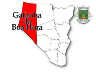 Localização no município de Vagos