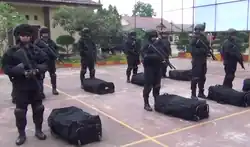 Operadores da Gegana.