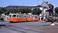 Tram em Carouge, linha 12.