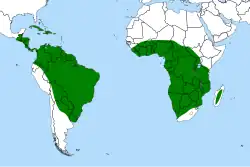 Distribuição mundial do género