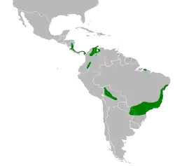 Distribuição da juriti-vermelha