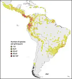 Distribuição e riqueza de espécies de Gesneriaceae no Novo Mundo com base em 48&nbsp;000 ocorrências compiladas a partir do portal de dados do GBIF (http://data.gbif.org, novembro de 2011), Perret et al. (2006) e dados não publicados (A. Chautems). Observe a distribuição centrada nos Andes com uma concentração de espécies no norte dos Andes e na América Central e o centro secundário de diversidade na floresta atlântica brasileira. Ocorrências nos Andes temperados do Chile correspondem a espécies de Coronanthereae.