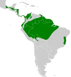 Distribuição do arapaçu-de-bico-de-cunha na América Central e América do Sul