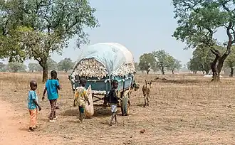 Crianças com colheita de algodão