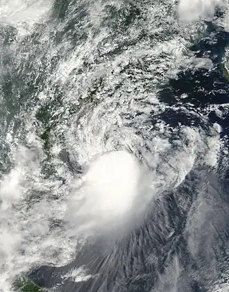 imagem ilustrativa de artigo Tempestade tropical Goni (2009)