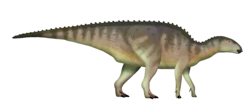 Gonkoken caminhando para a esquerda em um fundo branco. Ele tem uma pele que varia entre tons de verde-acinzentado e marrom, com algumas listras mais escuras no corpo e na cauda. A parte de baixo do corpo é mais amarelada. Ele possui uma cabeça pequena com um bico, um pescoço robusto, um corpo grande e uma cauda longa e grossa que se afina na ponta. Suas pernas são fortes, e ele parece estar apoiado nas quatro patas, embora as pernas traseiras sejam mais desenvolvidas. Há pequenas protuberâncias esverdeadas ao longo da coluna vertebral, desde o pescoço até a cauda.