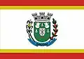 Bandeira de Gonzaga