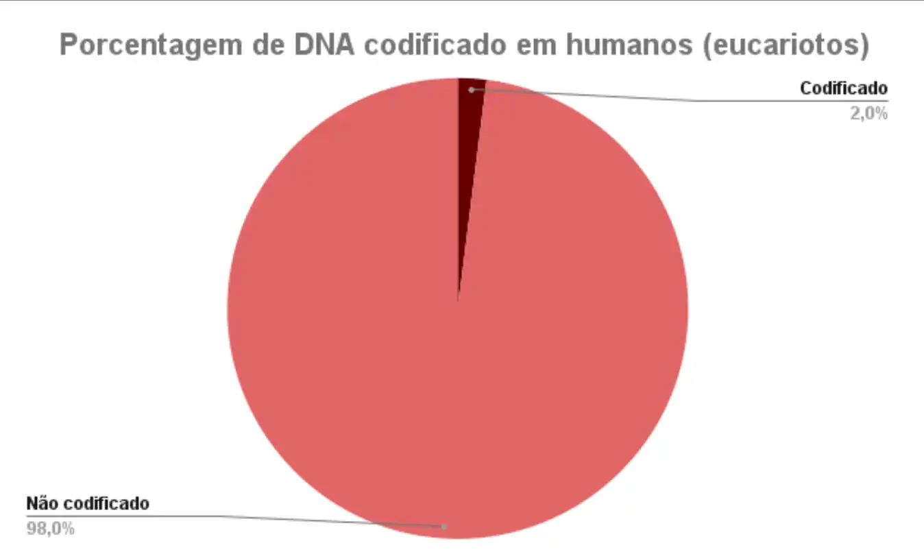 Porcentagem de DNA codificado em humanos (eucariotos).