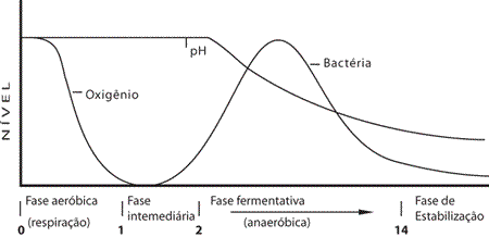 Fonte: Rianiveterinaria