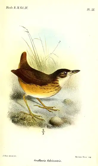Ilustração de Joseph Smit, 1890