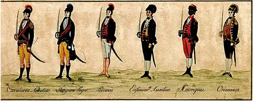 Militares das tropas da Capitania de Goiás em 1782: Cavalaria auxiliar, Dragões pagos, Pedestres, Infantaria Auxiliar, Henriques (negros livres) e Ordenança.