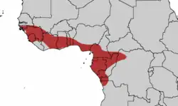 Distribuição do Tauraco persa.