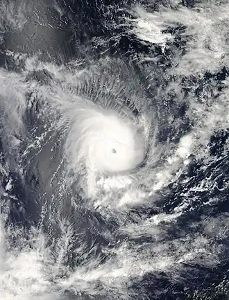 imagem ilustrativa de artigo Ciclone Gula