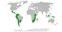 Distribuição natural do género Gunnera.[1]