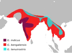 Mapa de distribuição (em vermelho)