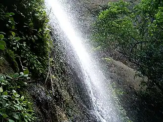 Cascata na Reserva Natural de Chocoyero.