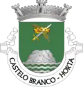 Brasão de armas de Castelo Branco