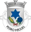 Brasão de armas de Pedro Miguel