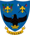 Brasão de armas de Újpetre