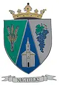 Brasão de armas de Nagytilaj